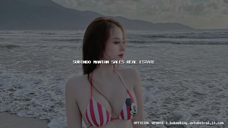 subindo mantan sales real estate